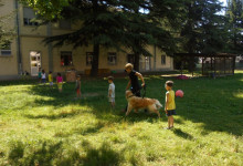 pet therapy