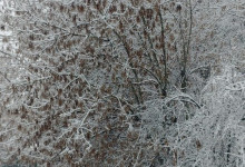 _20201204_091659