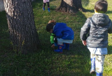 ma anche il parco rinasce