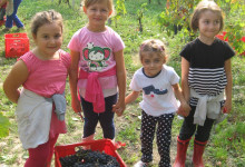 AS 2012-2013-FESTA E VENDEMMIA 124