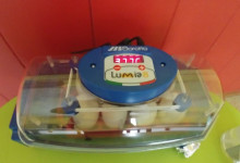 e le uova in incubatrice