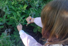 ..facendo attenzione