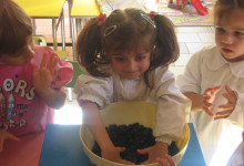AS 2012-2013-FESTA E VENDEMMIA 193
