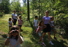 nel bosco