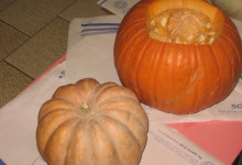 _scaviamo la zucca