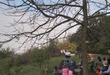 Il bosco di Giuca