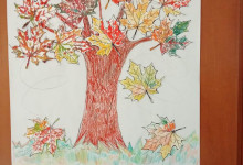 _802620e8-6f8c-447b-9ea8-c2d852e349c6