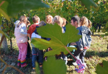 _IMG_20250929_094145129_HDR