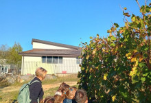 _IMG_20250929_094214147_HDR