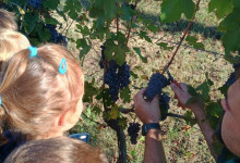 _IMG_20250929_094222154_HDR