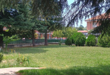 _IMG_20250627_125141839_HDR~2